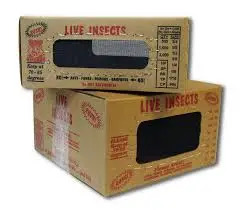 live insect shipping boxes