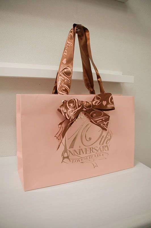 Printed Horizontal Paper Bag with Ribbon